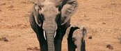 Unterkunft in Greater Addo