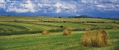 Accommodation in Clarens