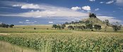 Accommodation in Ficksburg