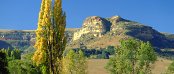 Accommodation in Fouriesburg