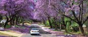 Unterkunft in Craighall Park