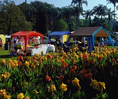 Craft Market - Midlands Meander