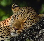 Photograph © SA Tourism