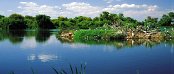 Unterkunft in Hoedspruit