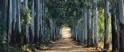 Unterkunft in Louis Trichardt