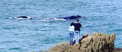 Unterkunft in Sandbaai