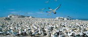 Unterkunft in Lamberts Bay