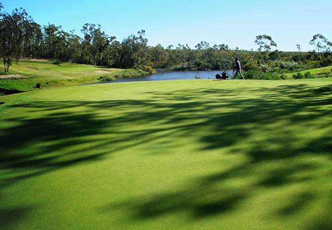 Wedgewood Golfplatz in Port Elizabeth, stliches Kap, Sdafrika