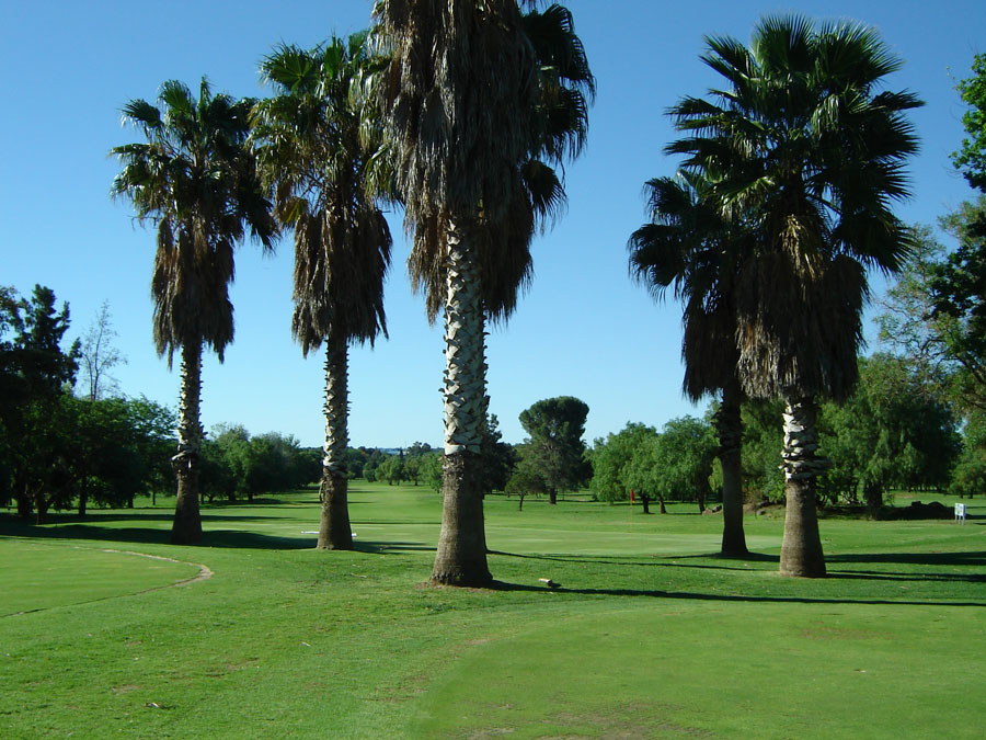 Oppenheimer Park Golfplatz in Welkom