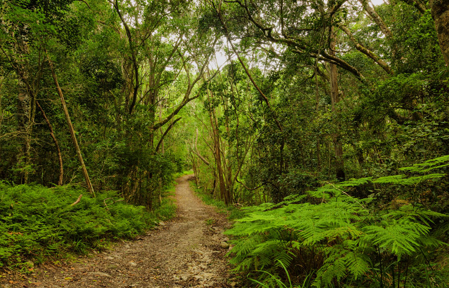 Gartenroute Reisetipps - Informationen fr Besucher