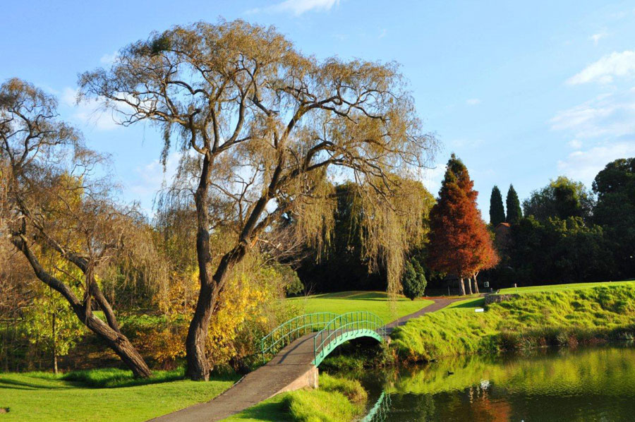 Randpark Golfplatz in Randburg