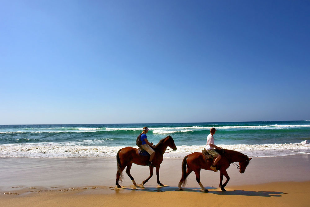 Elephant Coast Sehenswrdigkeiten