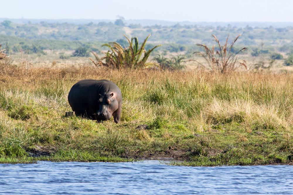 Zululand Sehenswrdigkeiten und Reiseziele