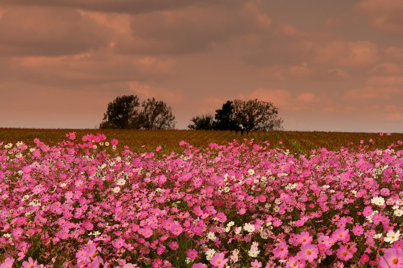 Mpumalanga Reiseziele