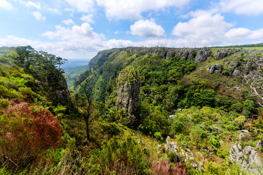 Im Krgerpark, Mpumalanga