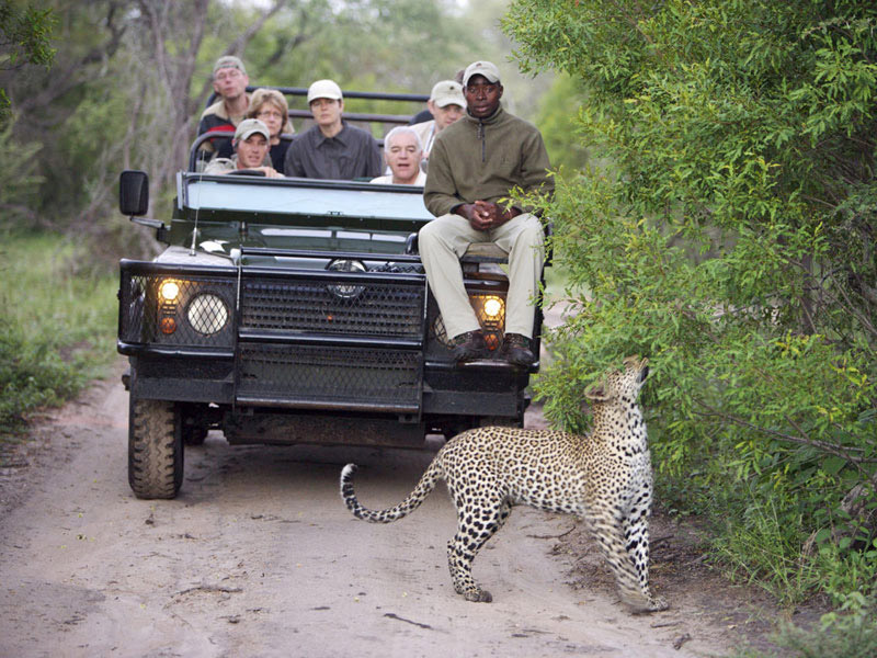 Sabi Sands Wildreservat