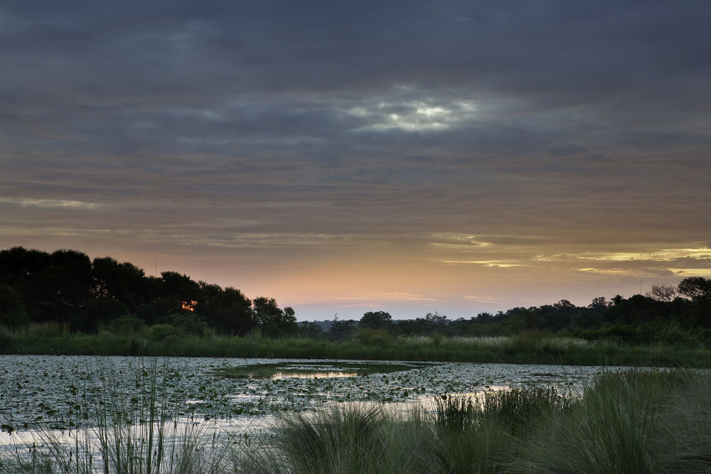 Bushveld Region Sehenswrdigkeiten