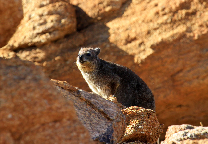 Augrabies National Park