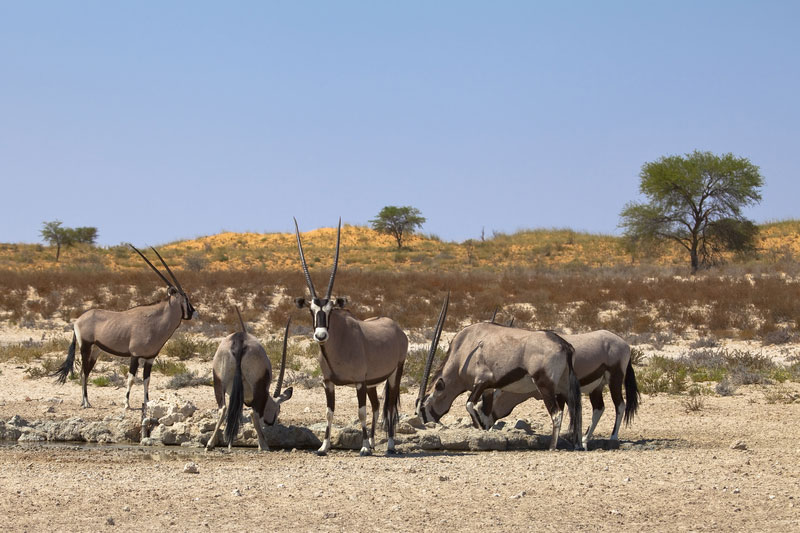 Namaqualand Reiseziele