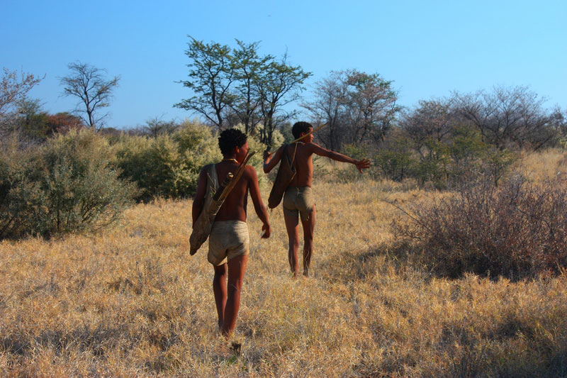 Kalahari Sehenswrdigkeiten und Reiseziele