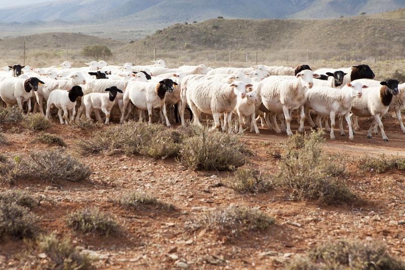 Oberes Karoo Sehenswrdigkeiten und Reiseziele