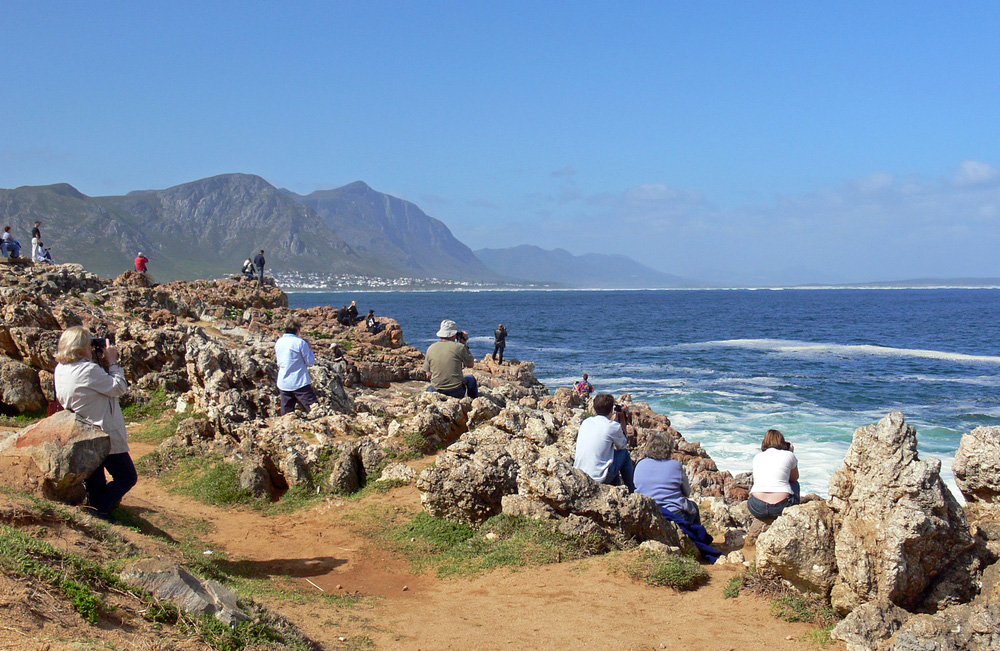 Hermanus Sehenswrdigkeiten