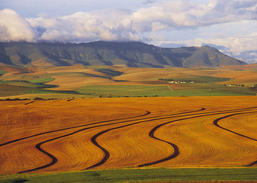 Das Swartland Sehenswrdigkeiten