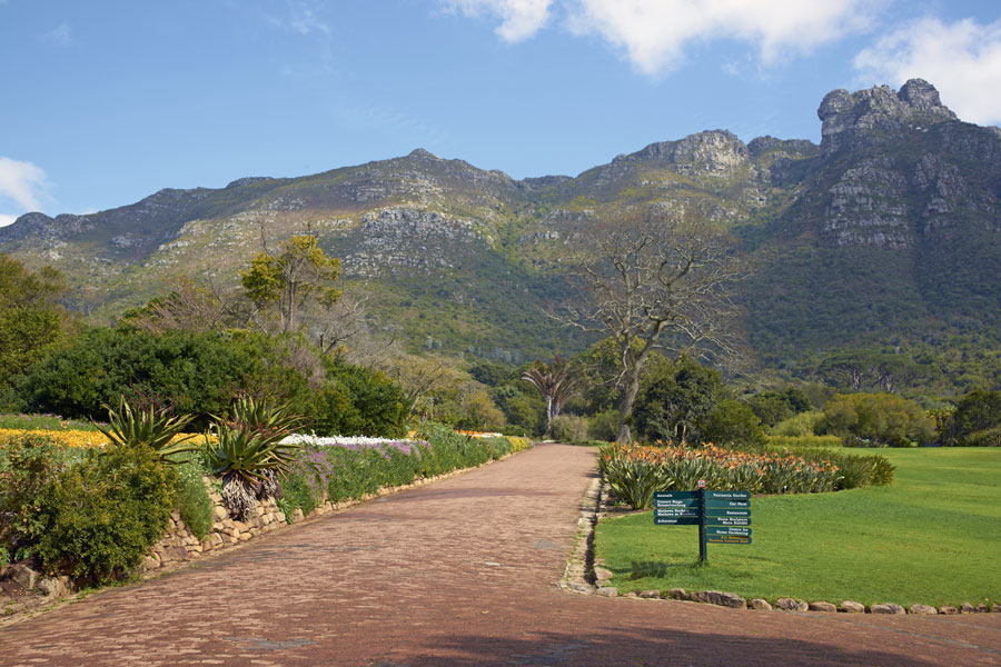 Kirstenbosch, Kapstadt