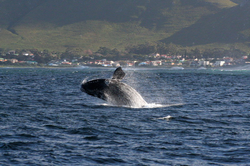 Overberg Region Reiseziele Sehenswrdigkeiten