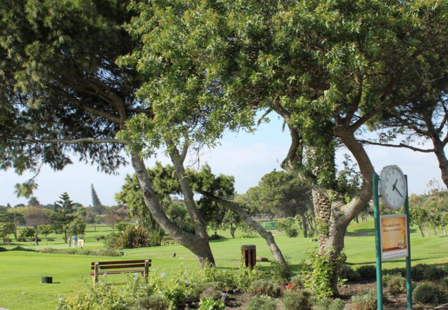 Rondebosch Golfplatz in Kapstadt